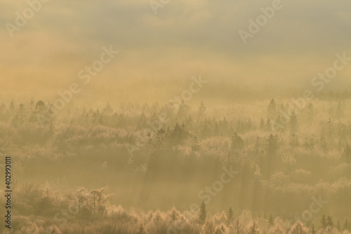Herbstmorgen über dem Nationalpark Hunsrück-Hochwald © lichtreflexe