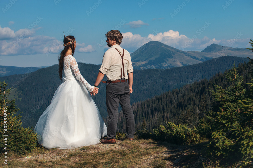 Young Wedding Couple Holding Hands on a Background of Mountain Landscape Young Wedding Couple Holding Hands on a Background of Mountain Landscape