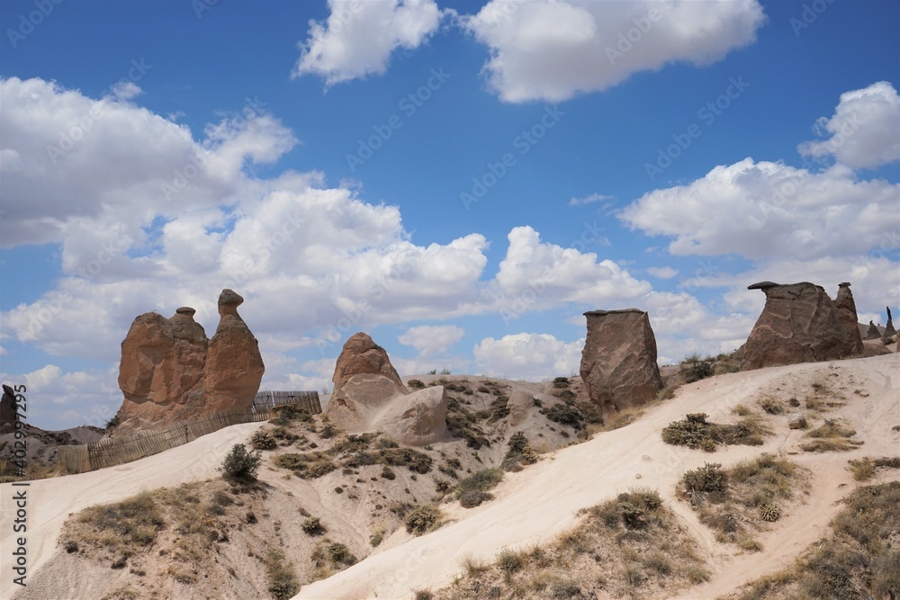 Fototapeta premium Camel Rock in Cappadocia