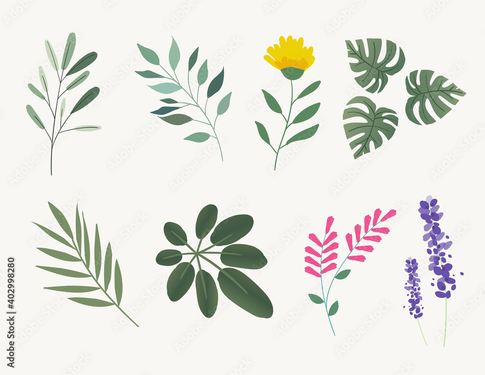 Set of natural and floral elements for graphic and web design. Vector illustrations for natural and organic products, beauty, fashion, spa and wellness, wedding and events, environment. Set of natural and floral elements for graphic and web design. Vector illustrations for natural and organic products, beauty, fashion, spa and wellness, wedding and events, environment.