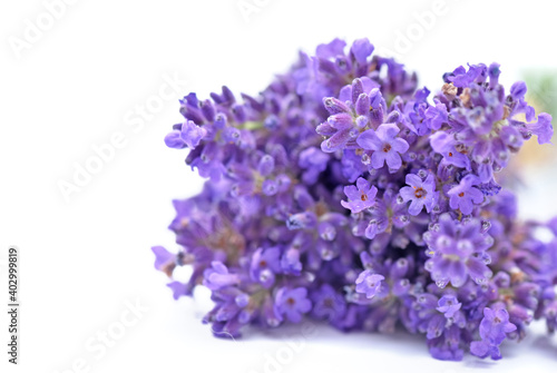 close on flowers of lavender  bouquet isolated on white background
