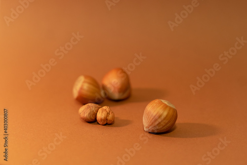 Haselnuss, Hazelnut photo