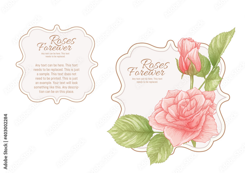 Set of face and back labels, stickers for food products or cosmetics in engraving, vintage, old, retro shabby chic style.. Stock vector illustration. Set of face and back labels, stickers for food products or cosmetics in engraving, vintage, old, retro shabby chic style.. Stock vector illustration.