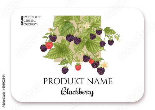 Blackberry. Ripe berries on branch. Template for product label, cosmetic packaging. Easy to edit. Graphic drawing, engraving style. Vector illustration..