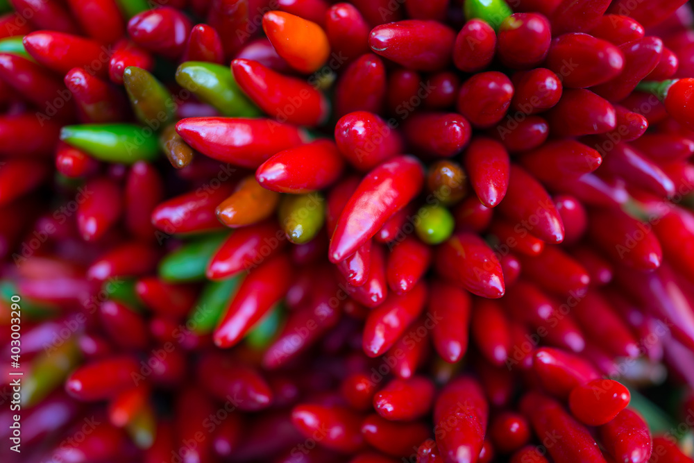 Red hot chilly pepers closeup background Red hot chilly pepers closeup background
