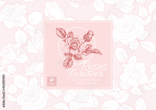 Roses flowers Template for product label, cosmetic packaging, for wedding invitation, greeting card, banner, gift voucher. Easy to edit. Colored vector illustration..