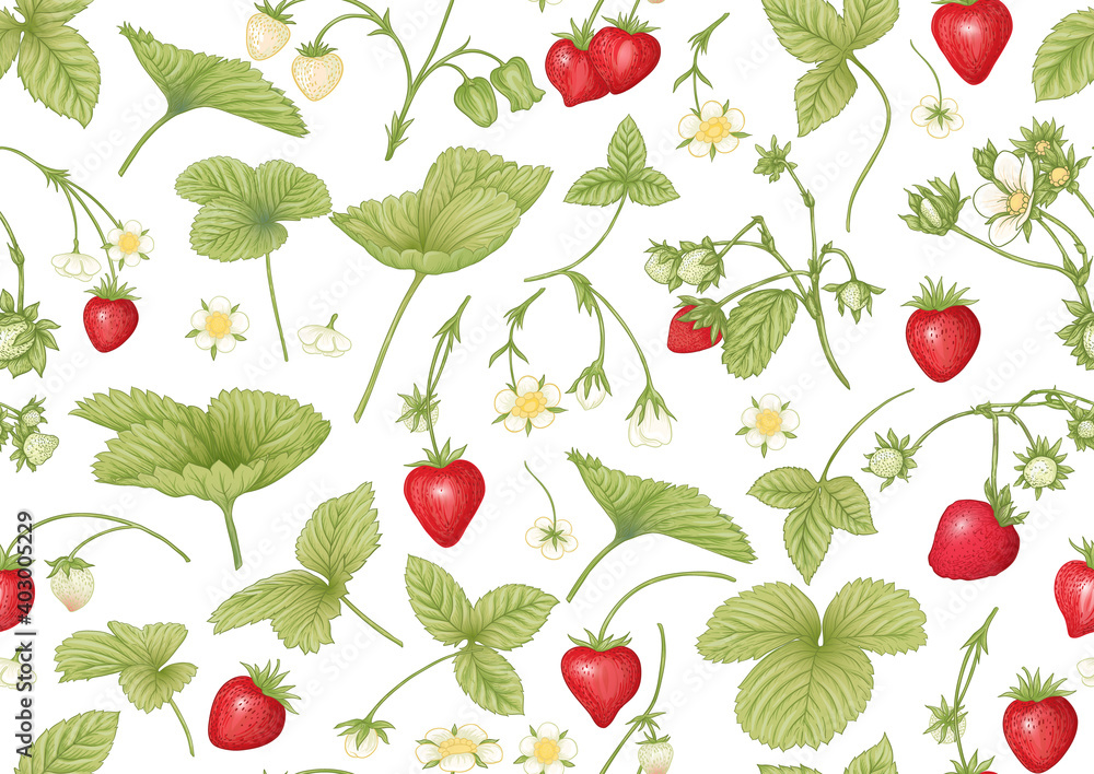 Strawberry. Ripe berries. Seamless pattern, background. Vector illustration. In botanical style Isolated on white background