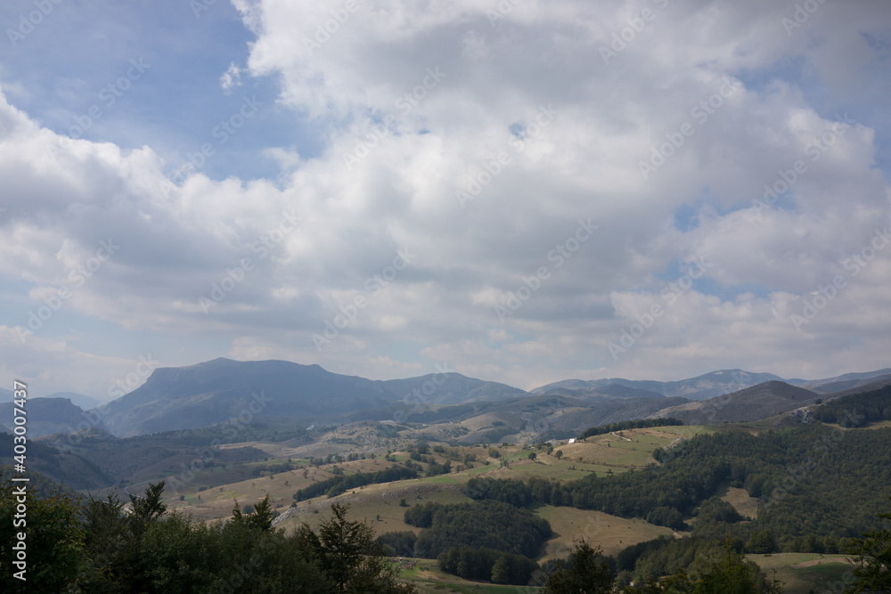 Fototapeta premium Beautiful natural landscape in the summer time