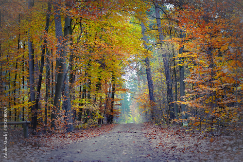 Herbst am Döllnsee 