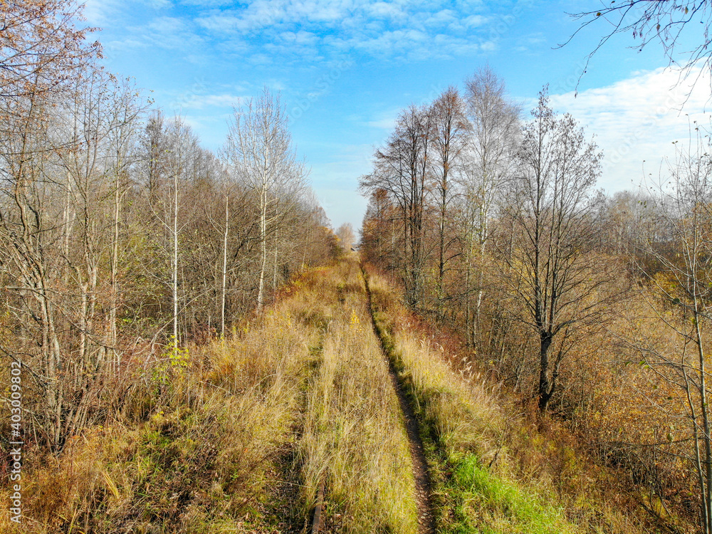 Overgrown railway in autumn (Kirov, Russia)