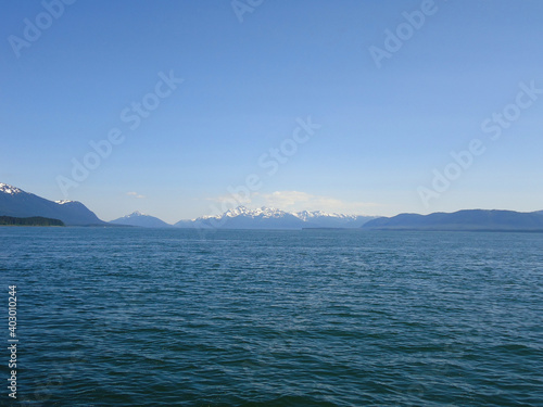  Alaska Harbor Seals - Alaska Marine Mammal Images