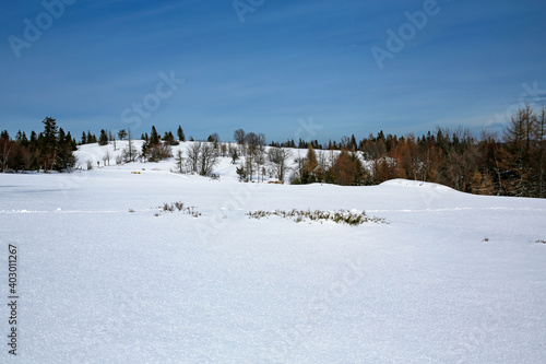 Fototapeta Naklejka Na Ścianę i Meble -  Potrojna, Czarny Gron peak in Beskidy Mountains, Kocierz, Poland