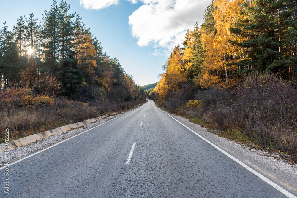 Asphalt road with beautiful trees on the sides in autumn. Asphalt road with beautiful trees on the sides in autumn.