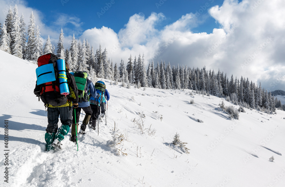 Hikers with backpacks in the winter mountains
