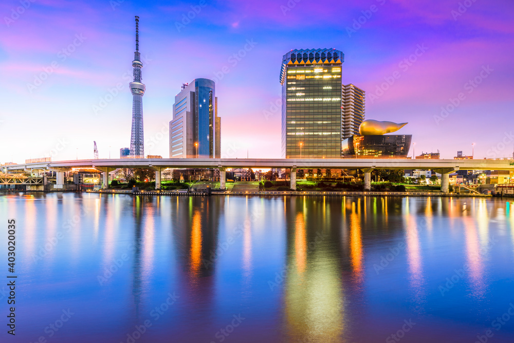 Obraz premium Tokyo, Japan Skyline