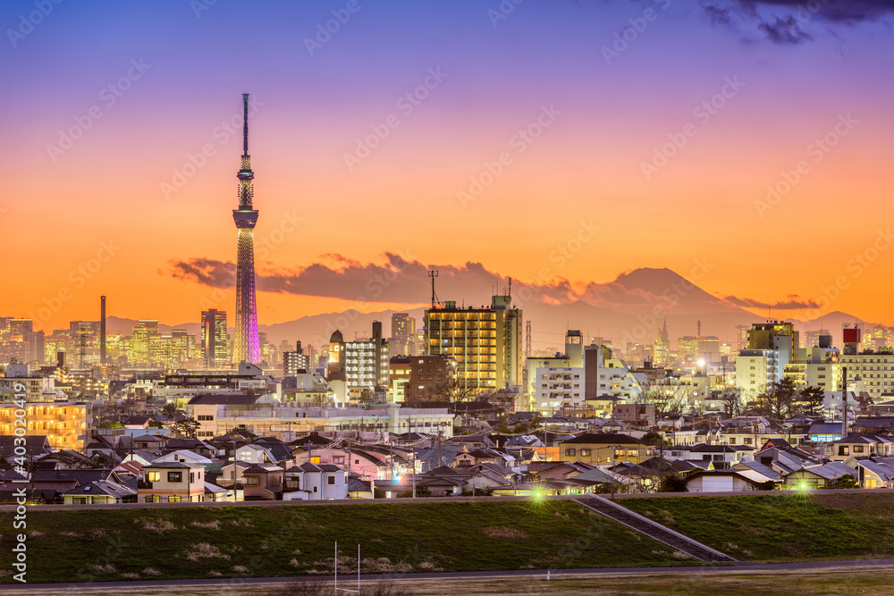 Tokyo Skyline at Dusk
