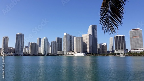 Miami skyline taken from the palm tree shade across the Briscayne Bay