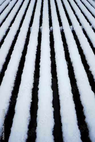 zebra skin texture