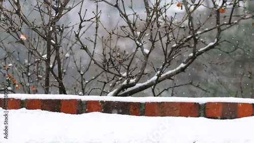 snowy skies, snow-stacked walls and trees