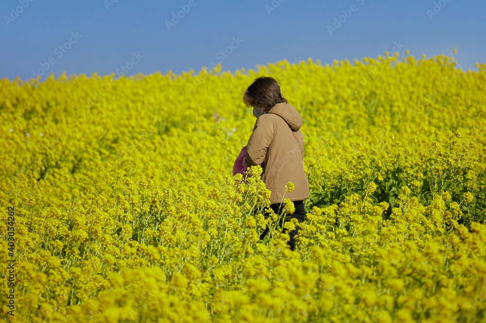 春の満開の菜の花の畑で楽しんでいる若い女性の姿 春の満開の菜の花の畑で楽しんでいる若い女性の姿