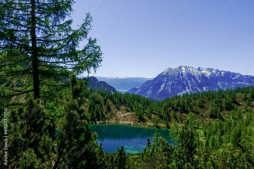 Obraz premium green trees and a blue mountain lake with mountains and some snow