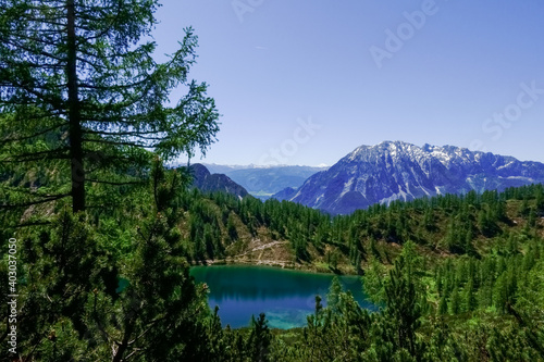 green trees and a blue mountain lake with mountains and some snow