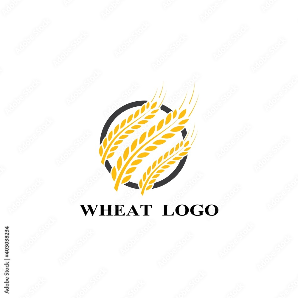 Agriculture wheat Logo Template vector icon Agriculture wheat Logo Template vector icon