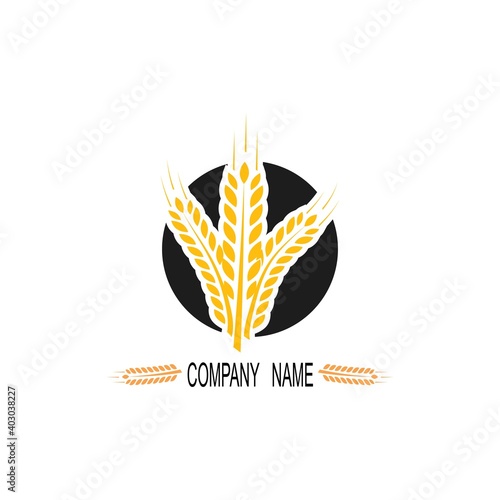 Agriculture wheat Logo Template vector icon