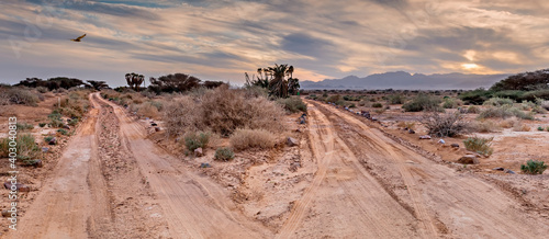 Country road among sandy desert, Middle East