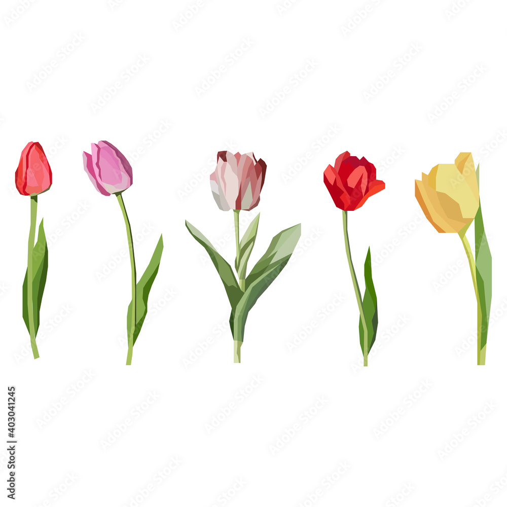 Illustration kind of Tulips flower with low poly design vector. Gradient, polygonal. Illustration kind of Tulips flower with low poly design vector. Gradient, polygonal.