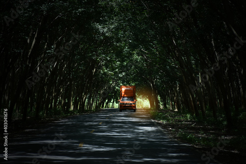 Beautiful view with orange color delivery car drive through tunnel trees in countryside.