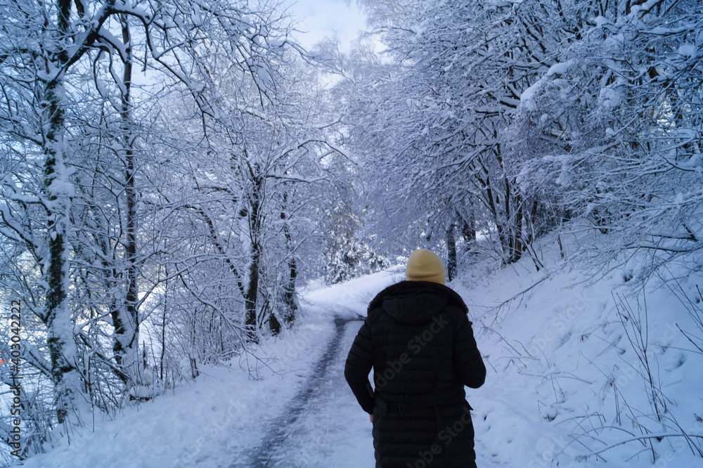 person walking in winter forest