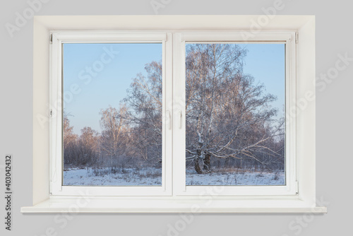 View from the window to the winter landscape