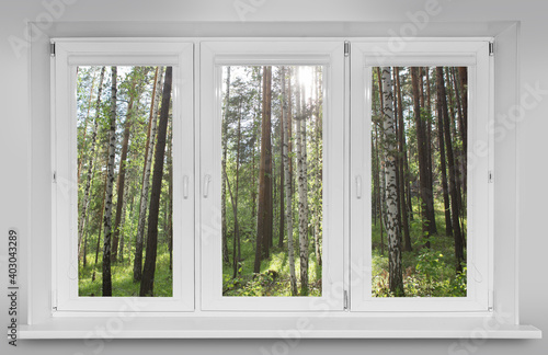 View from the window at sunset in the forest