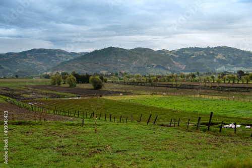 Panoramic view of crops in potato production area in Boyaca, with mountain ranges in the background. Colombia .
