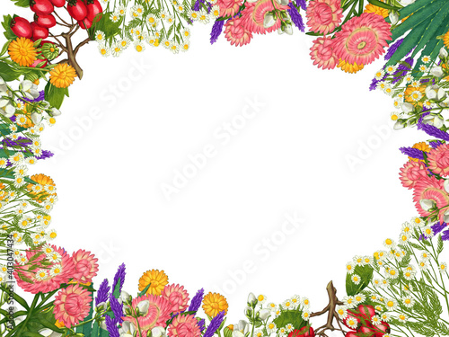 Hand drawn medicinal plant frame. Healing herbs border. isolated on white background