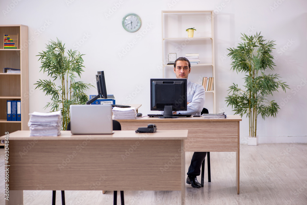 Fototapeta premium Young male employee sitting in the office