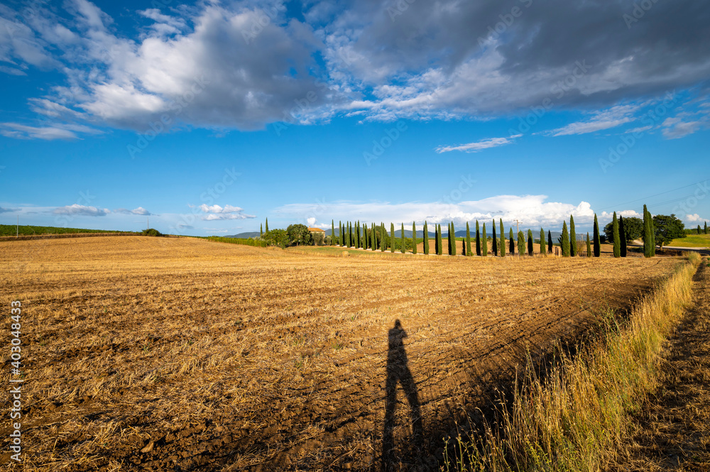 Beautiful detail of the Italian and Roman countryside. A field of yellow hay, the shadow of a man, trees, cypresses, a blue sky and clouds in a hot summer day, Lazio Italy.