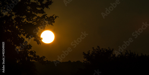 A photo of a sun coming through the trees around it with also reflecting an odd colour shade to sky.