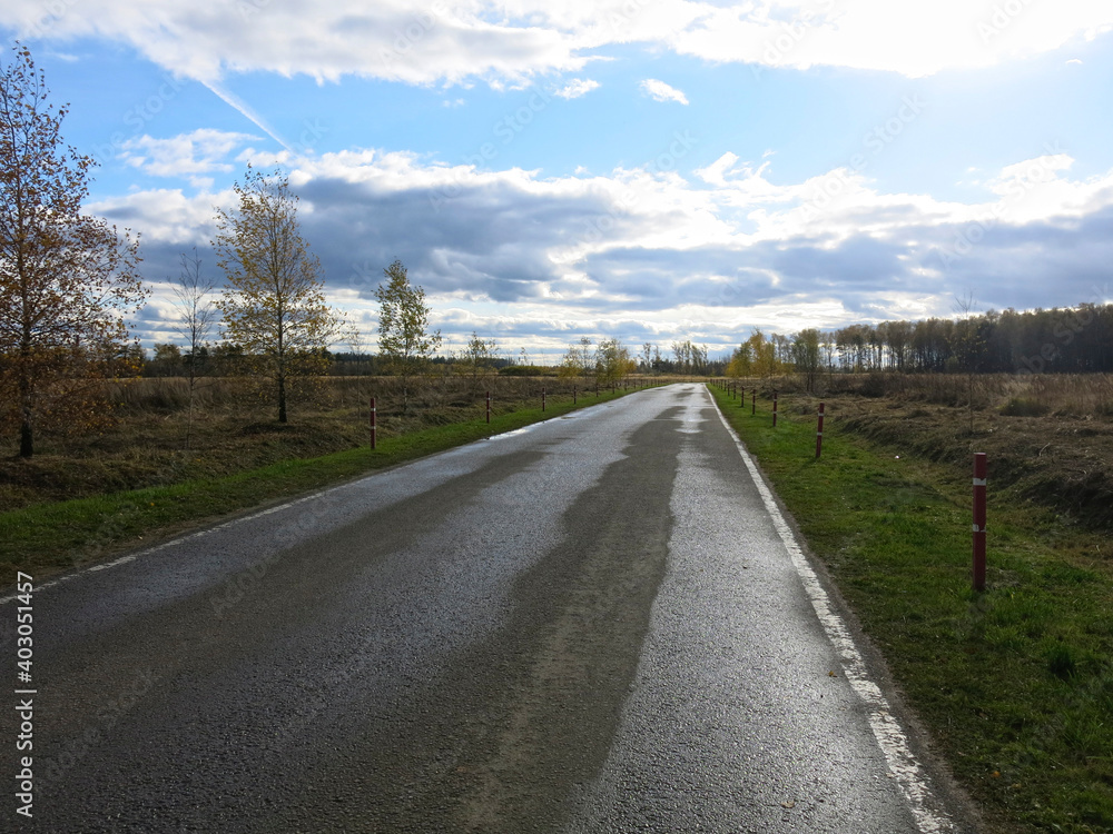 asphalt road with a wet surface in the province in autumn