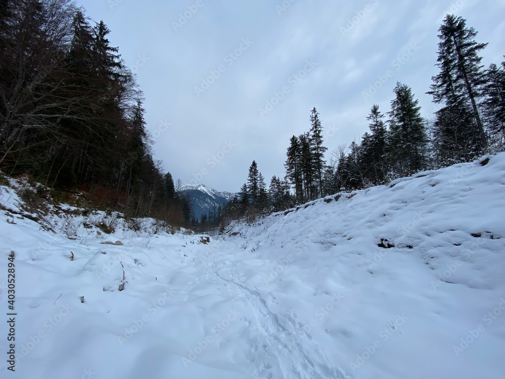 Schneeschuhwandern am Achensee Pertisau im Gerntal Pletzach in der Nähe von Schwaz Innsbruck Tirol Grenze zu Bayern am späten Nachmittag im Winter an einem Wehr im vereisten Bachbett - obrazy, fototapety, plakaty 
