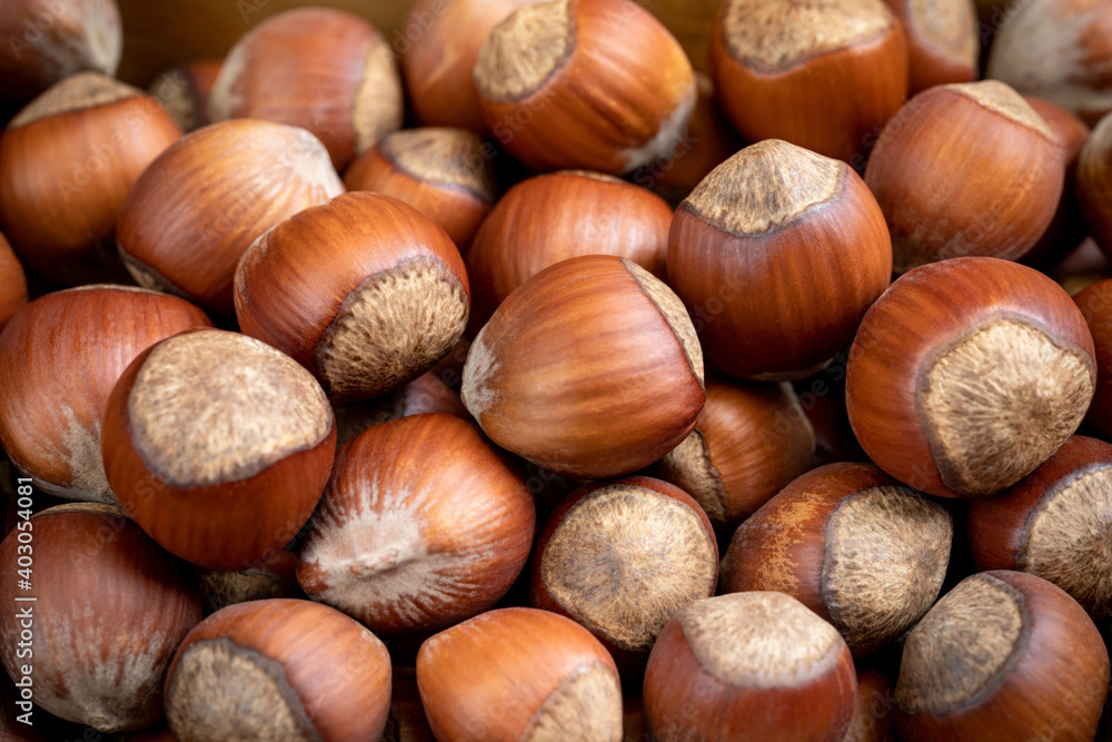 Lots of whole, unpeeled hazelnuts. Food background. Shallow depth of field Lots of whole, unpeeled hazelnuts. Food background. Shallow depth of field