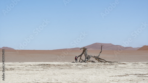 Une personne marchant dans le d  sert du Namibe  un arbre mort et des dunes    l horizon  Afrique