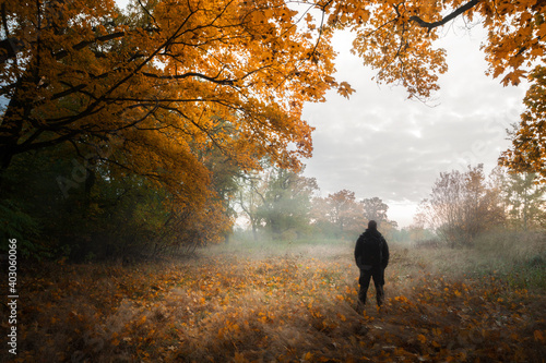 autumn in the park © Sieku Photo