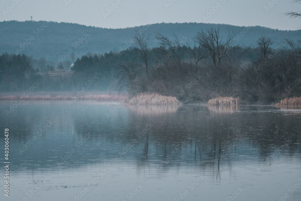 Fototapeta premium Foggy Pond