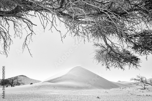 Dune 45, Désert du Namibe, Noir et blanc photo