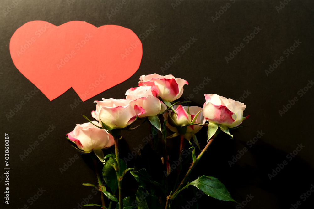Fototapeta premium In the center of the greeting card, on a dark background, for Valentine's Day there are several white roses, and in the upper left corner of the sheet are two connected red heart symbols.