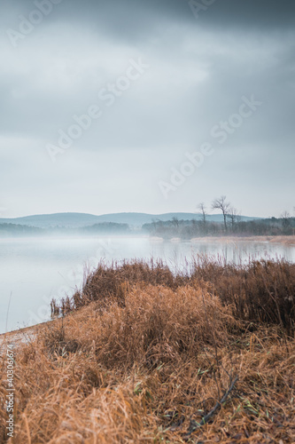 Foggy Pond