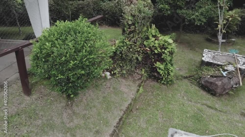 Aerial view of a swimming pool surrunded by bushes photo