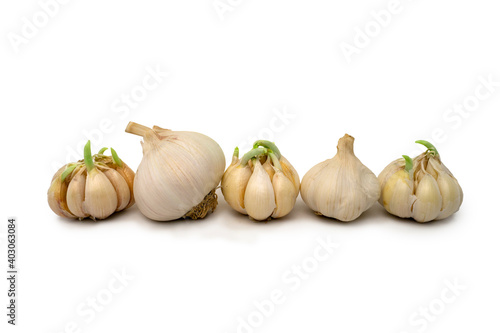 raw garlic isolated on white background.
